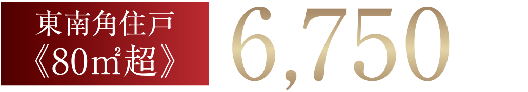 東南角住戸《80平方メートル超》